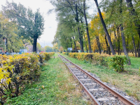 Syretskyi Arboretum